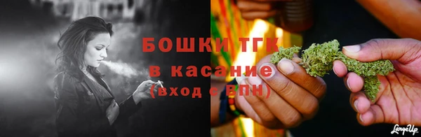 круглые Ельня
