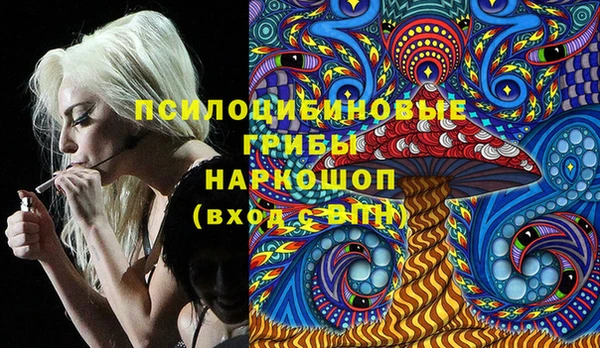 МДПВ Елизово