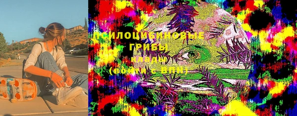 МДПВ Елизово