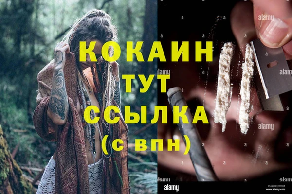 МДПВ Елизово